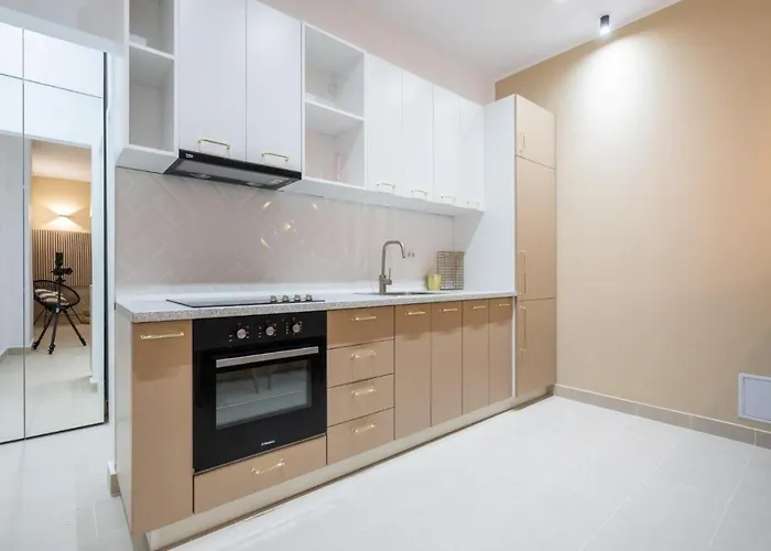 Fabulous With View In Calea Victoriei Апартаменты